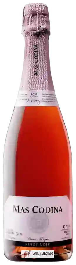Weingut Mas Codina - Cava Reserva Brut Rosé Weingut Mas Codina - Cava Reserva Brut Rosé