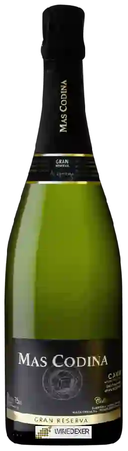 Weingut Mas Codina - Cava Gran Reserva Brut Nature Weingut Mas Codina - Cava Gran Reserva Brut Nature