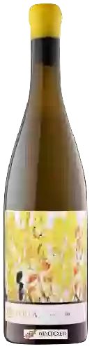 Weingut Mas Comtal - Petrea Chardonnay