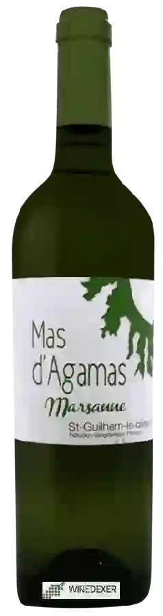 Weingut Mas d'Agamas - Marsanne Weingut Mas d'Agamas - Marsanne