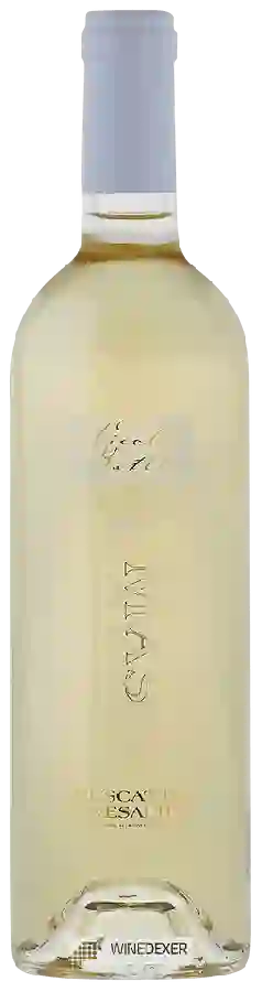 Weingut Mas de Lavail - Muscat de Rivesaltes Weingut Mas de Lavail - Muscat de Rivesaltes