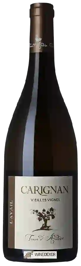 Weingut Mas de Lavail - Terre d'Ardoise Vieilles Vignes Carignan Blanc