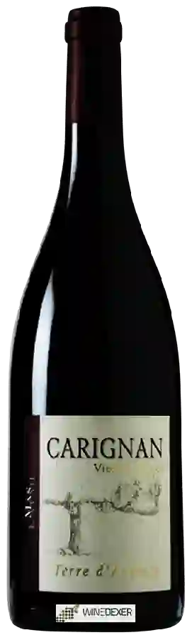 Weingut Mas de Lavail - Terre d'Ardoise Vieilles Vignes Carignan Rouge