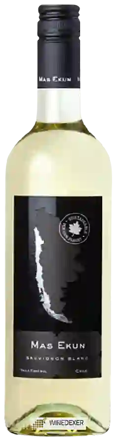 Weingut Mas Ekun - Sauvignon Blanc