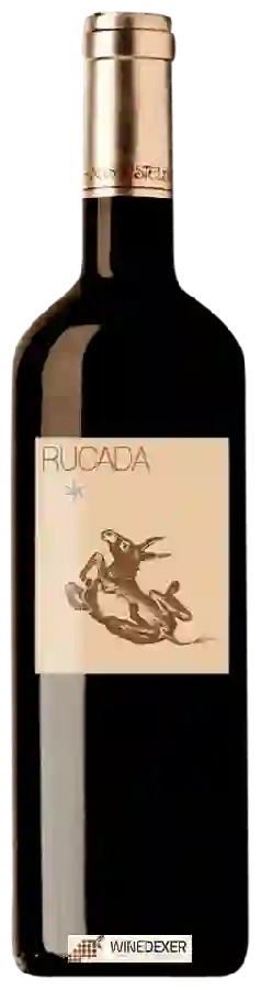 Weingut Mas Estela - Rucada Weingut Mas Estela - Rucada