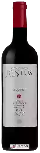 Weingut Mas Igneus - Vinyes de Coster FA 206