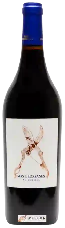 Weingut Mas Llossanes - Côtes Catalanes Au Dolmen Weingut Mas Llossanes - Côtes Catalanes Au Dolmen