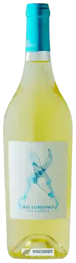 Weingut Mas Llossanes - Pur Chasan Weingut Mas Llossanes - Pur Chasan