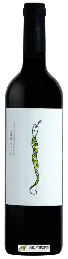 Weingut Vinos de Terruños - BOA Bobal