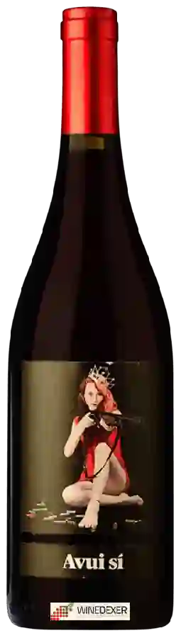 Weingut Mas Patiràs - Avui Si