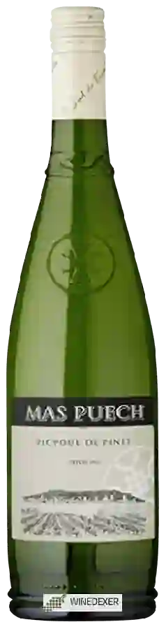 Weingut Mas Puech - Picpoul de Pinet