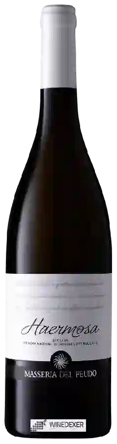 Weingut Masseria del Feudo - Haermosa Weingut Masseria del Feudo - Haermosa
