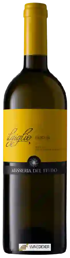 Weingut Masseria del Feudo - Il Giglio Inzolia Weingut Masseria del Feudo - Il Giglio Inzolia