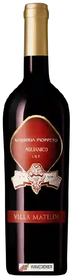 Weingut Masseria Pioppeto - Aglianico Weingut Masseria Pioppeto - Aglianico