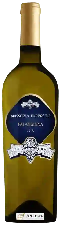 Weingut Masseria Pioppeto - Falanghina Weingut Masseria Pioppeto - Falanghina
