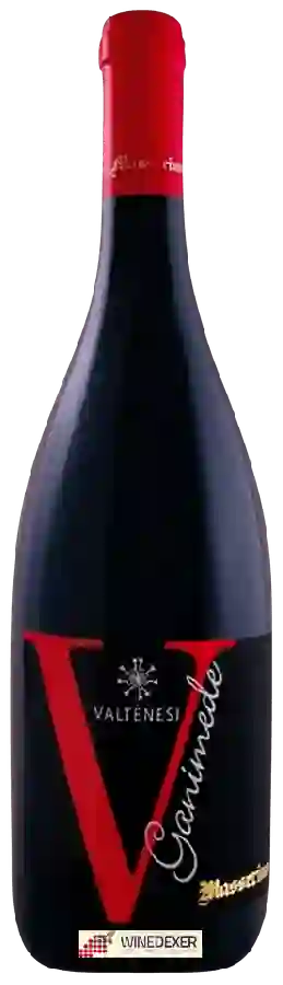 Weingut Masserino - Ganimede Weingut Masserino - Ganimede