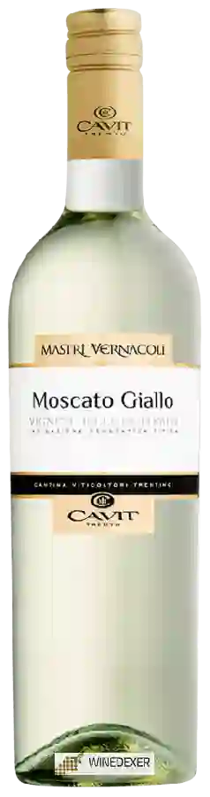 Weingut Mastri Vernacoli - Moscato Giallo Vigneti delle Dolomiti Weingut Mastri Vernacoli - Moscato Giallo Vigneti delle Dolomiti