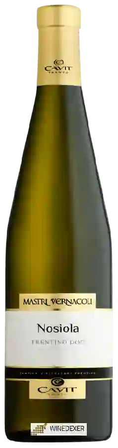 Weingut Mastri Vernacoli - Nosiola Weingut Mastri Vernacoli - Nosiola