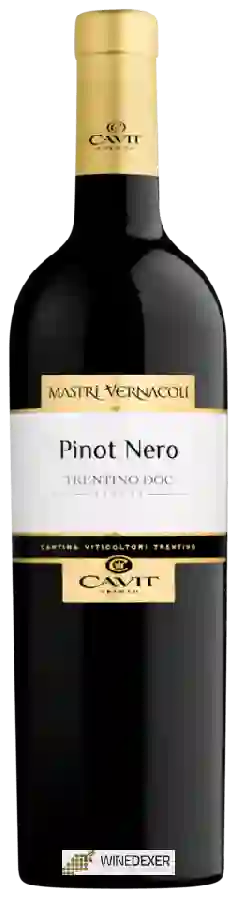 Weingut Mastri Vernacoli - Pinot Nero Weingut Mastri Vernacoli - Pinot Nero