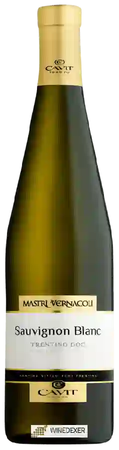 Weingut Mastri Vernacoli - Sauvignon Blanc Weingut Mastri Vernacoli - Sauvignon Blanc