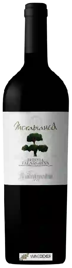 Weingut Mastroberardino - Falanghina Irpinia Morabianca Weingut Mastroberardino - Falanghina Irpinia Morabianca