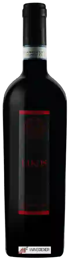 Weingut Mastrodomenico - Likos Aglianico del Vulture Weingut Mastrodomenico - Likos Aglianico del Vulture