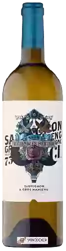 Vignobles Fontan - Sauvignon - Gros Manseng