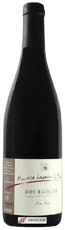 Weingut Maurice Lapalus & Fils - Bourgogne Pinot Noir