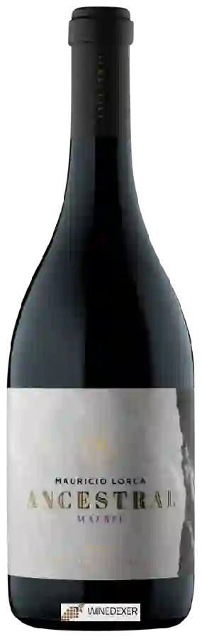 Weingut Mauricio Lorca - Ancestral Malbec Weingut Mauricio Lorca - Ancestral Malbec