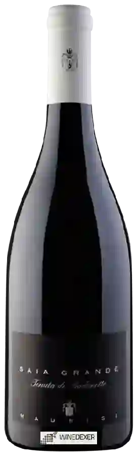 Weingut Maurigi - Saia Grande Weingut Maurigi - Saia Grande