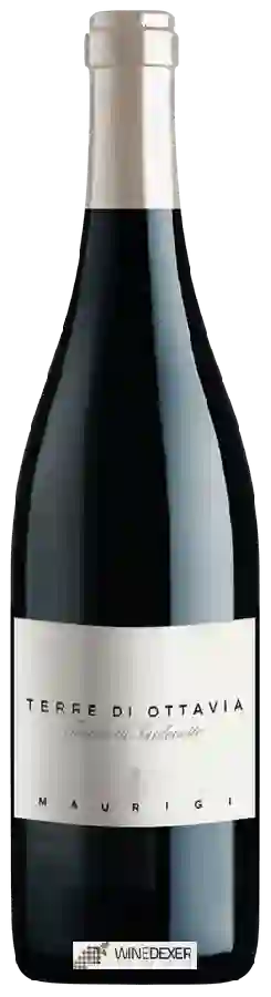 Weingut Maurigi - Terre di Ottavia Pinot Noir Weingut Maurigi - Terre di Ottavia Pinot Noir