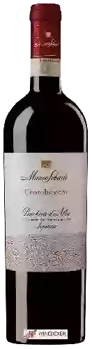 Weingut Mauro Sebaste - Centobricchi Barbera d'Alba Superiore