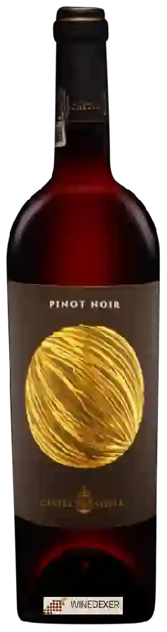 Weingut Maximarc - Pinot Noir