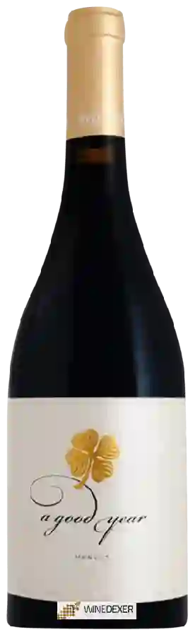 Weingut Medi Valley - A Good Year Merlot