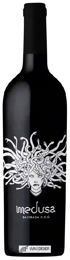 Weingut Medusa - Tinto Weingut Medusa - Tinto