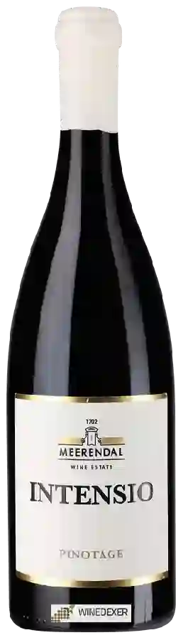Weingut Meerendal Wine Estate - Intensio Pinotage