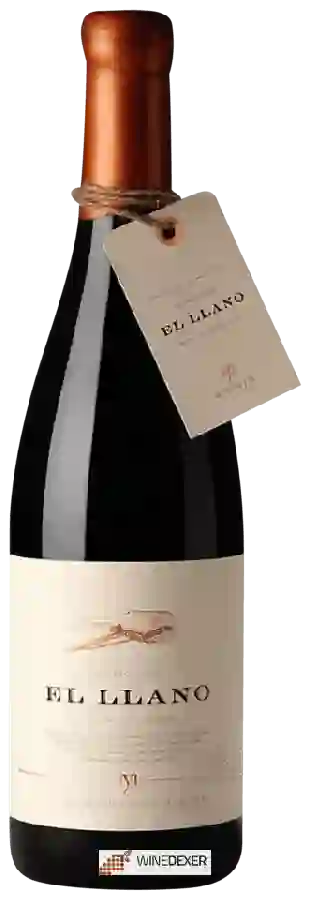 Weingut Merayo - El llano Weingut Merayo - El llano