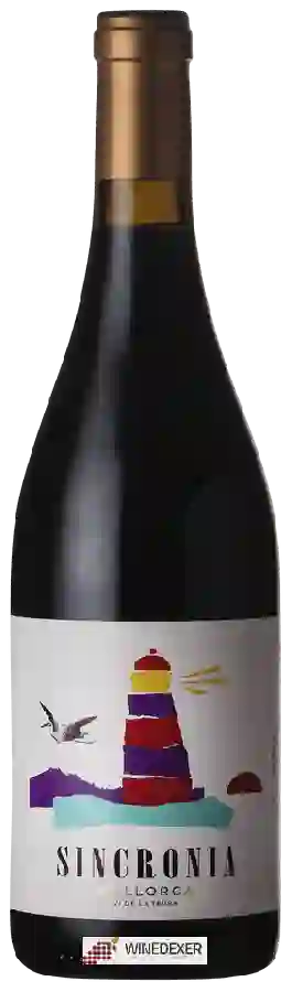 Weingut Mesquida Mora - Sincronia Negre Weingut Mesquida Mora - Sincronia Negre