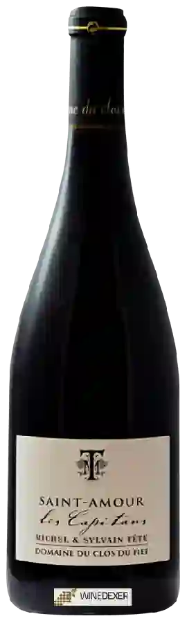 Domaine du Clos du Fief (Michel Tete) - Les Capitans Saint-Amour