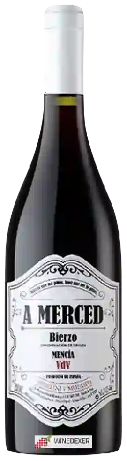 Weingut Michelini i Mufatto - A Merced de Bierzo Valdeviñas Mencía