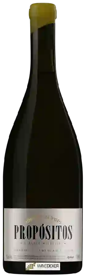 Weingut Michelini i Mufatto - Propósitos