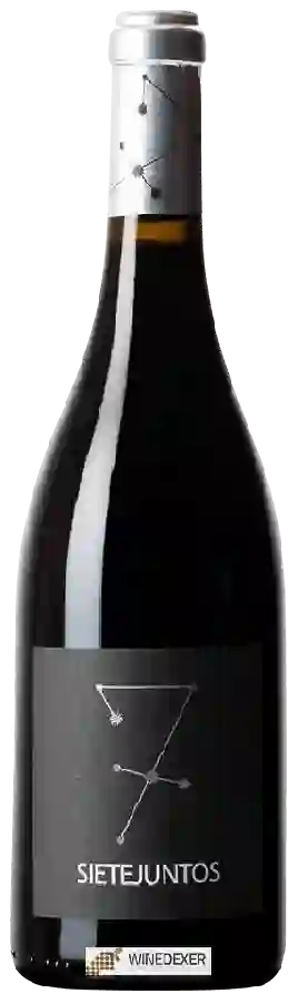 Weingut Micro Bio (MicroBio) - Sietejuntos Merlot Weingut Micro Bio (MicroBio) - Sietejuntos Merlot