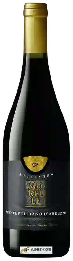 Weingut Cantina Miglianico - Mellianum Murelle Montepulciano d'Abruzzo