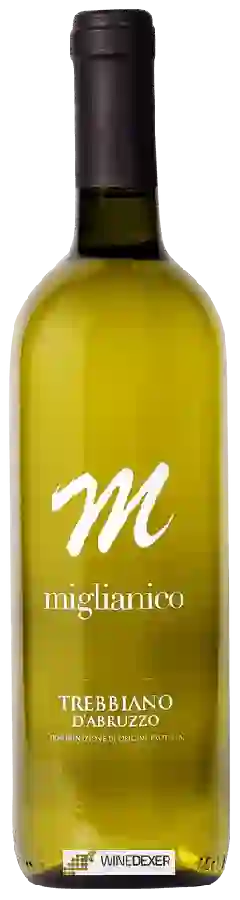 Weingut Cantina Miglianico - Trebbiano d'Abruzzo Weingut Cantina Miglianico - Trebbiano d'Abruzzo