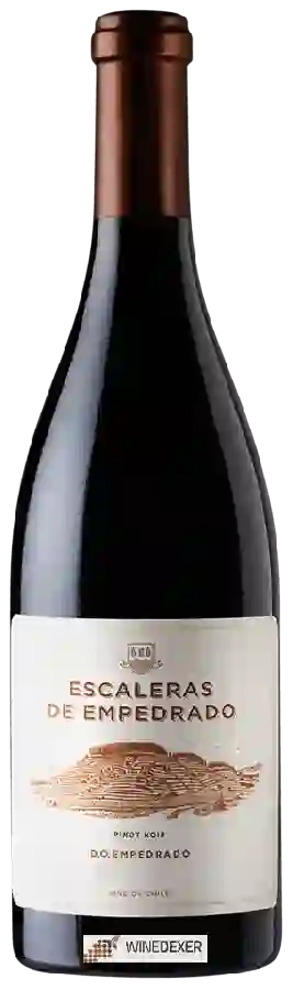 Weingut Miguel Torres - Escaleras de Empedrado Pinot Noir Weingut Miguel Torres - Escaleras de Empedrado Pinot Noir