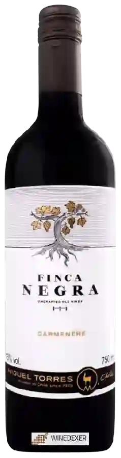 Weingut Miguel Torres - Finca Negra Carmenère
