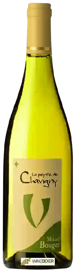 Weingut Mikael Bouges - La Pente de Chavigny Weingut Mikael Bouges - La Pente de Chavigny