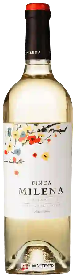 Weingut Finca Milena - Verdejo - Sauvignon Blanc