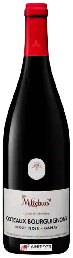 Weingut Millebuis - Coteaux Bourguignons Pinot Noir - Gamay Weingut Millebuis - Coteaux Bourguignons Pinot Noir - Gamay