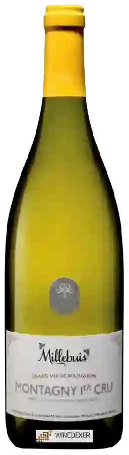 Weingut Millebuis - Montagny Premier Cru Weingut Millebuis - Montagny Premier Cru